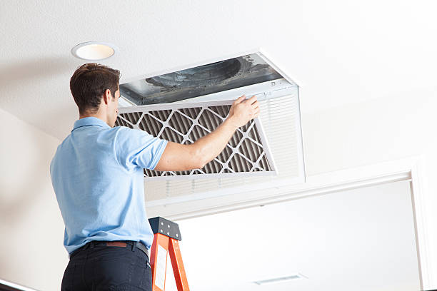 Best Air Quality Test  in Harlem, GA